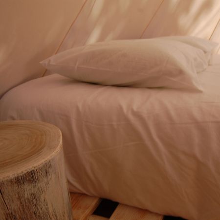 Nature Inn Madeira - Glamping بورتو مونيز المظهر الخارجي الصورة