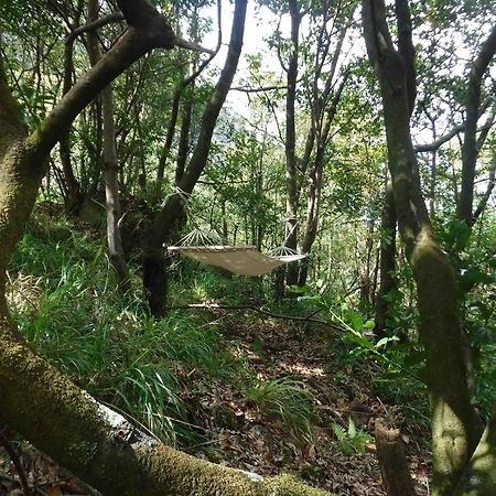 Nature Inn Madeira - Glamping بورتو مونيز المظهر الخارجي الصورة