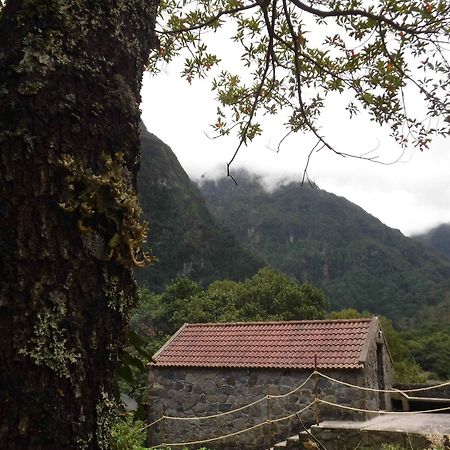Nature Inn Madeira - Glamping بورتو مونيز المظهر الخارجي الصورة