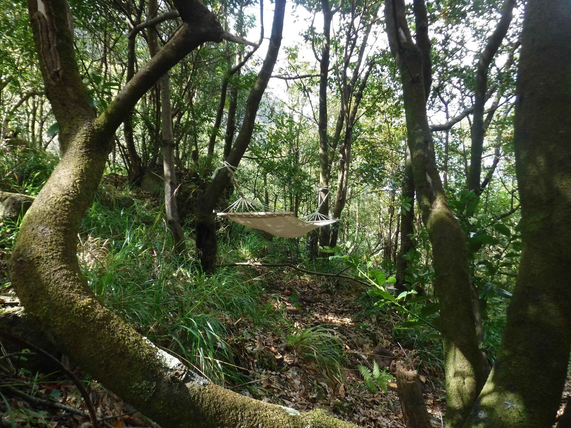 Nature Inn Madeira - Glamping بورتو مونيز المظهر الخارجي الصورة