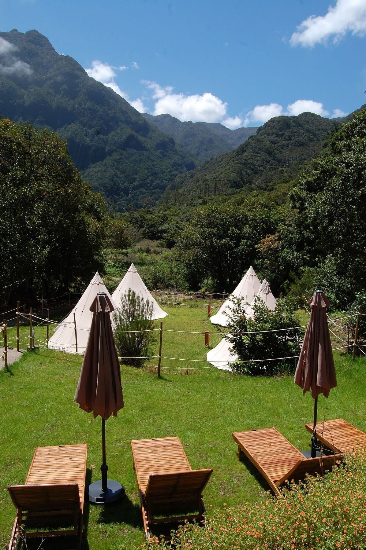 Nature Inn Madeira - Glamping بورتو مونيز المظهر الخارجي الصورة