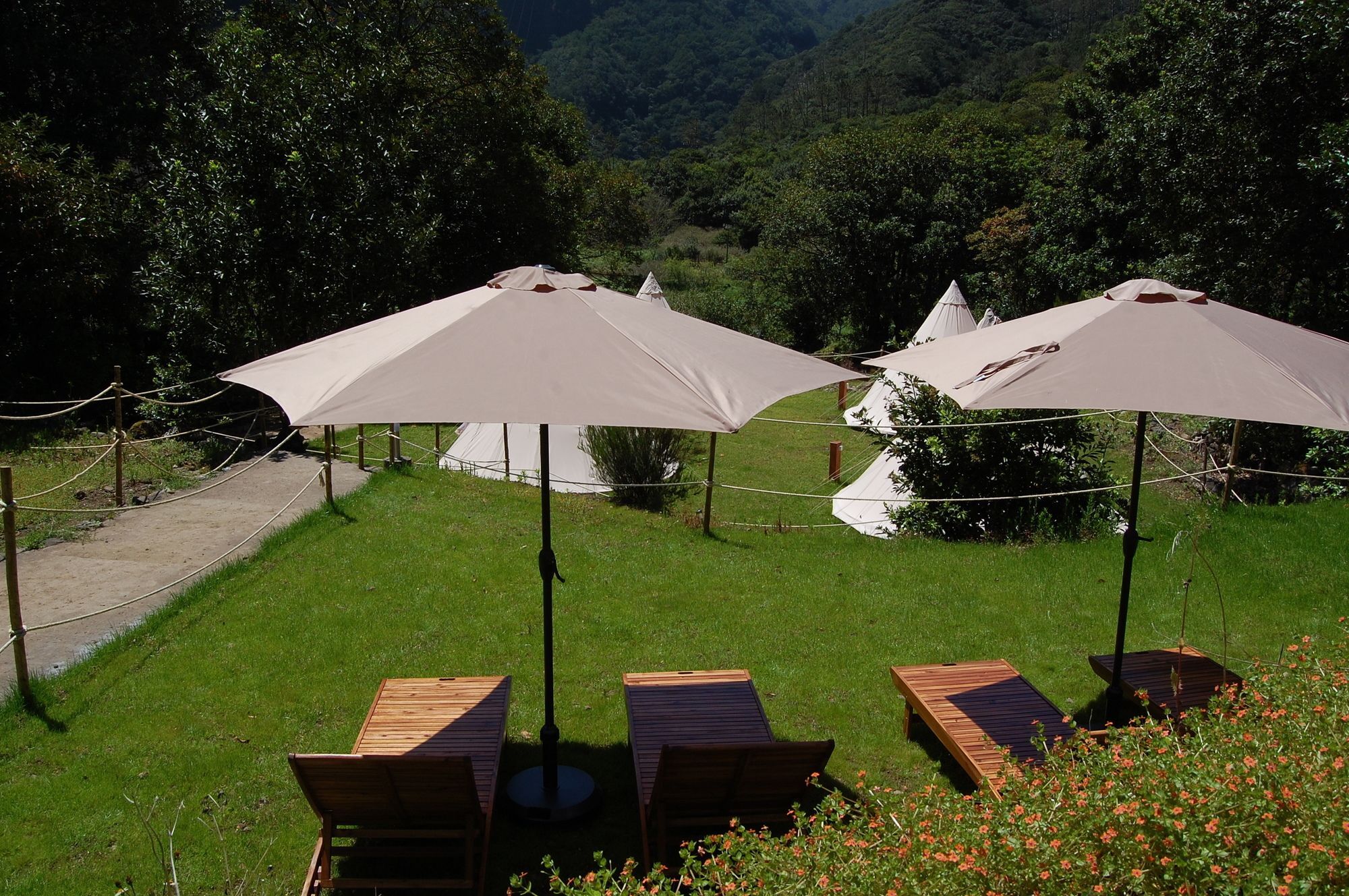 Nature Inn Madeira - Glamping بورتو مونيز المظهر الخارجي الصورة